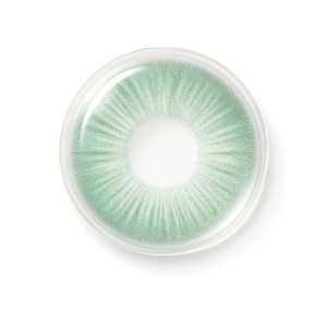 Lentilles Vert Menthe
