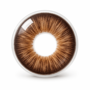 Lentilles Marron Sublime