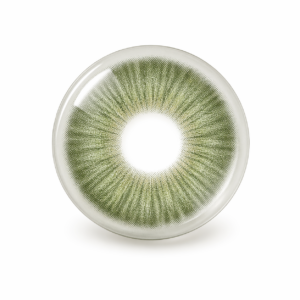Lentilles Vert Naturel