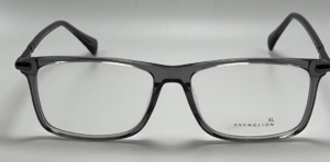 Lunettes Avanglion