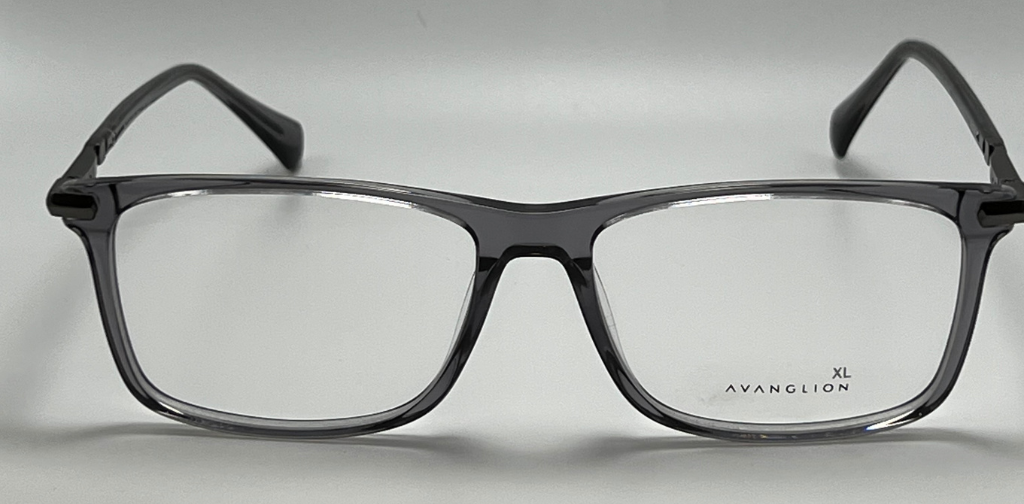 Lunettes Avanglion