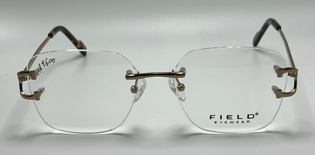Field