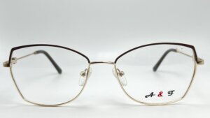 AF2243 101